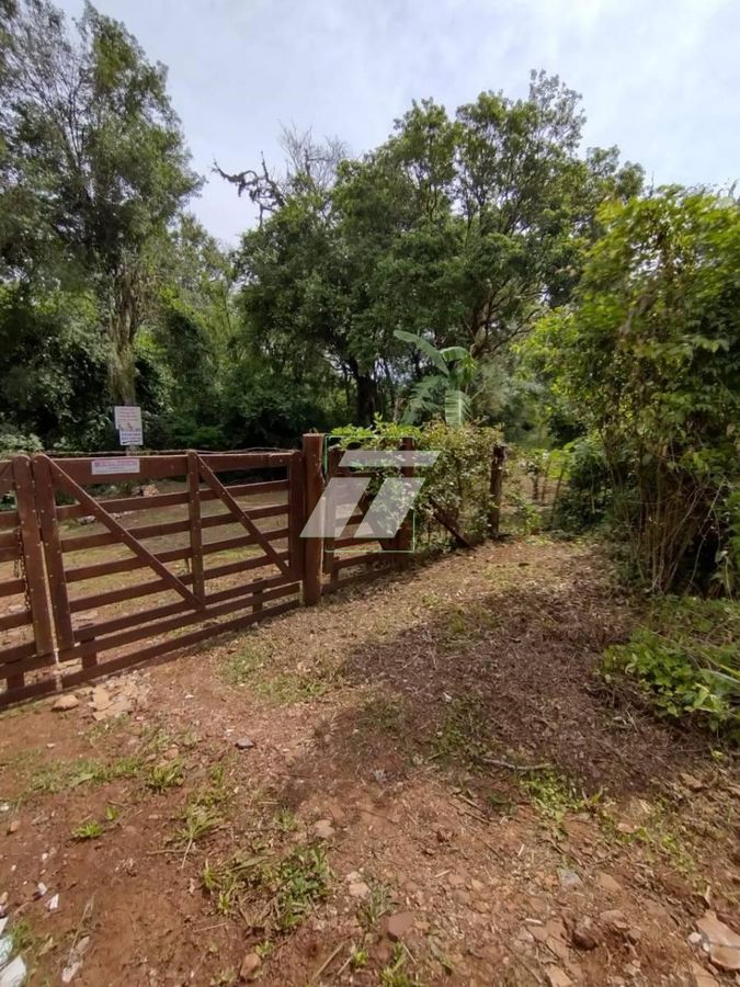 Sítio, 4 hectares - Foto 1