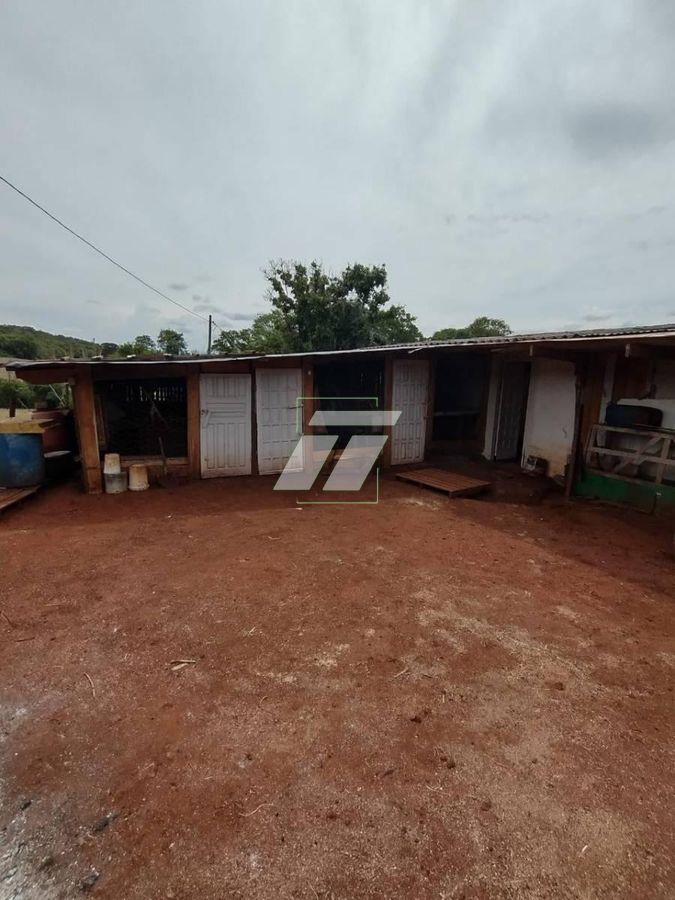 Sítio, 4 hectares - Foto 15