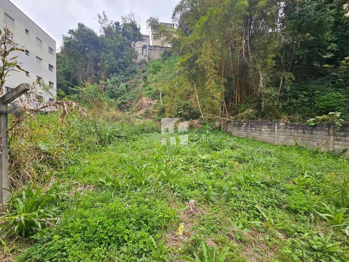 Terreno Financiavel na Vila Ida
