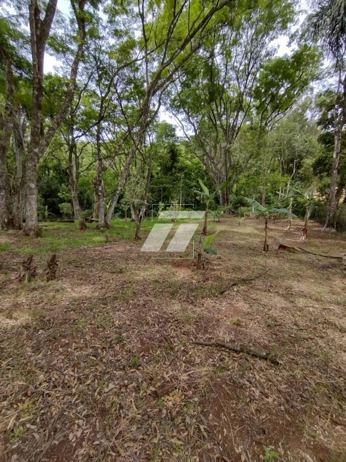 Sítio, 4 hectares - Foto 7