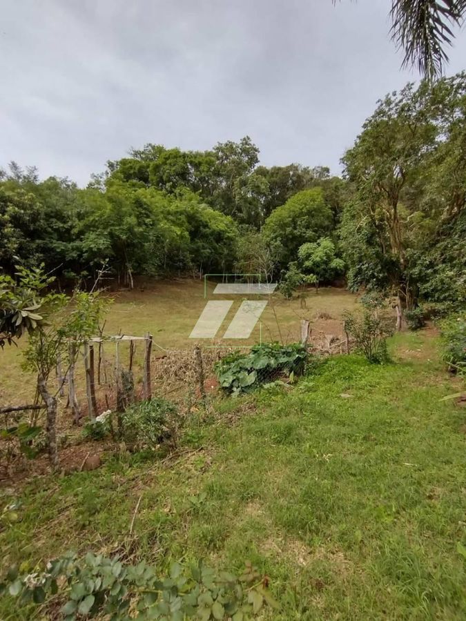 Sítio, 4 hectares - Foto 10