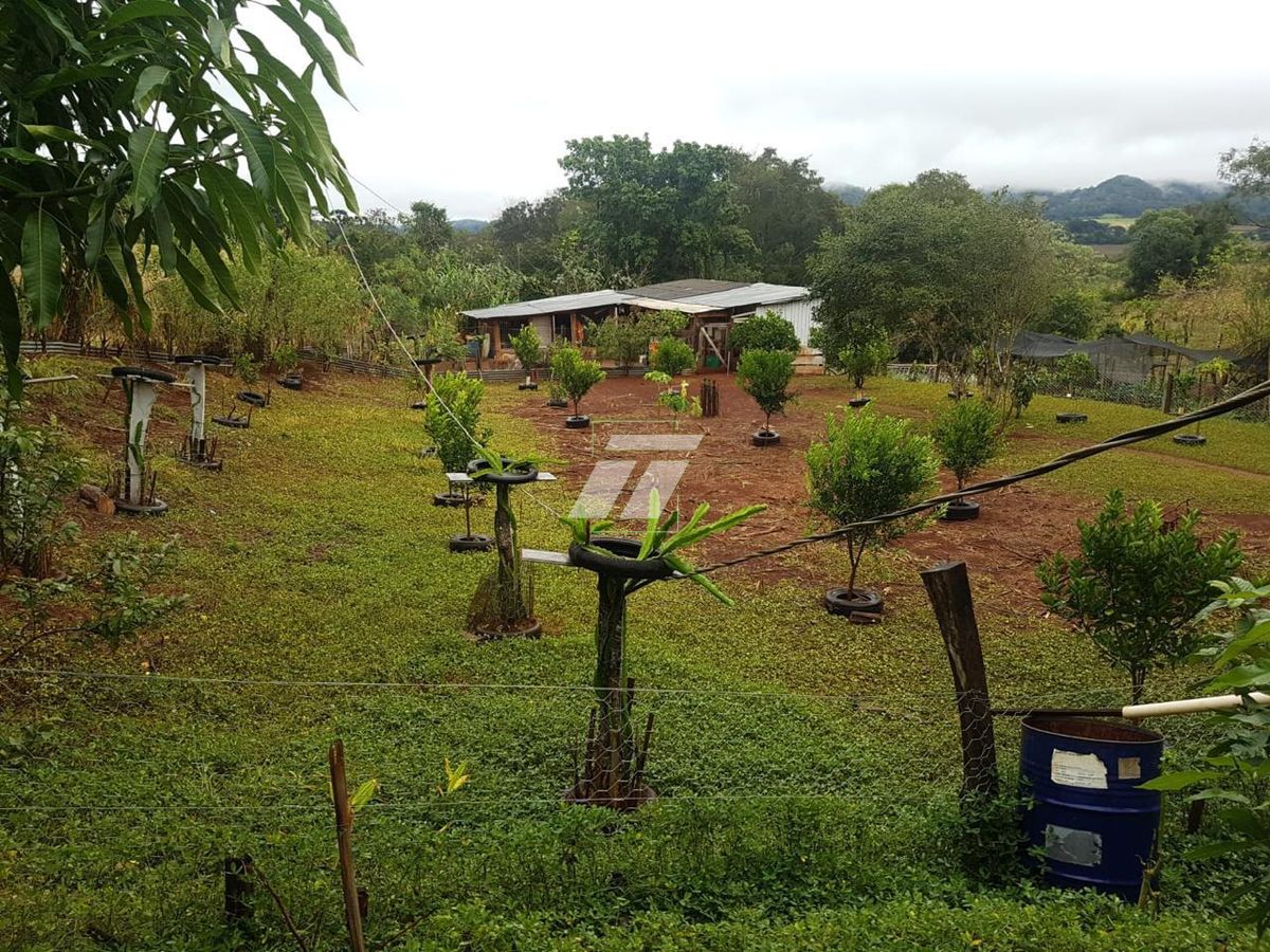 Sítio, 4 hectares - Foto 18