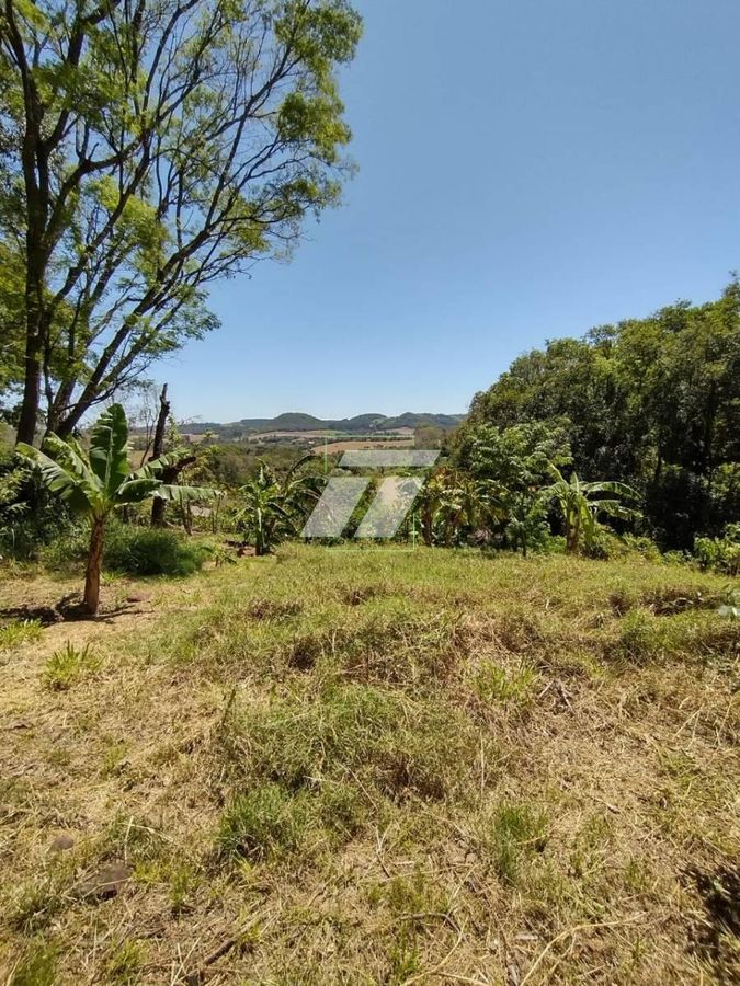 Sítio, 4 hectares - Foto 2