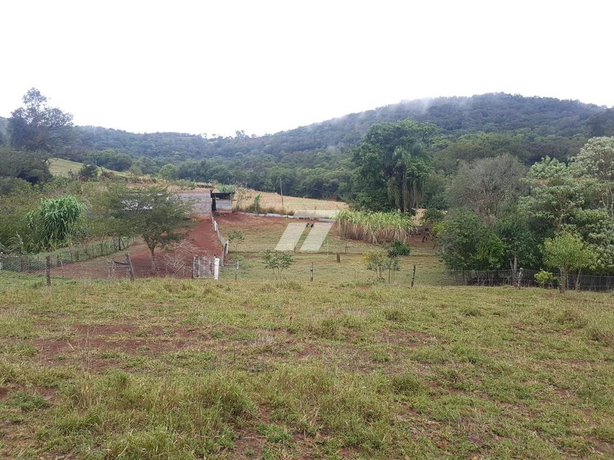 Sítio, 4 hectares - Foto 17