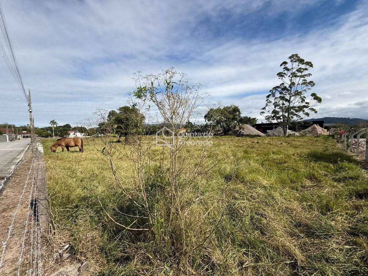 Terreno Areias de Baixo - Lote/Terreno em Areias de Baixo, Governador Celso Ramos - à venda - Quinta do Arvoredo Imóveis