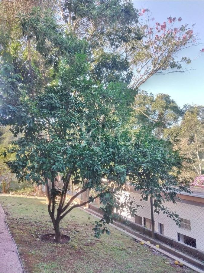 Casa, 3 quartos, 350 m² - Foto 143
