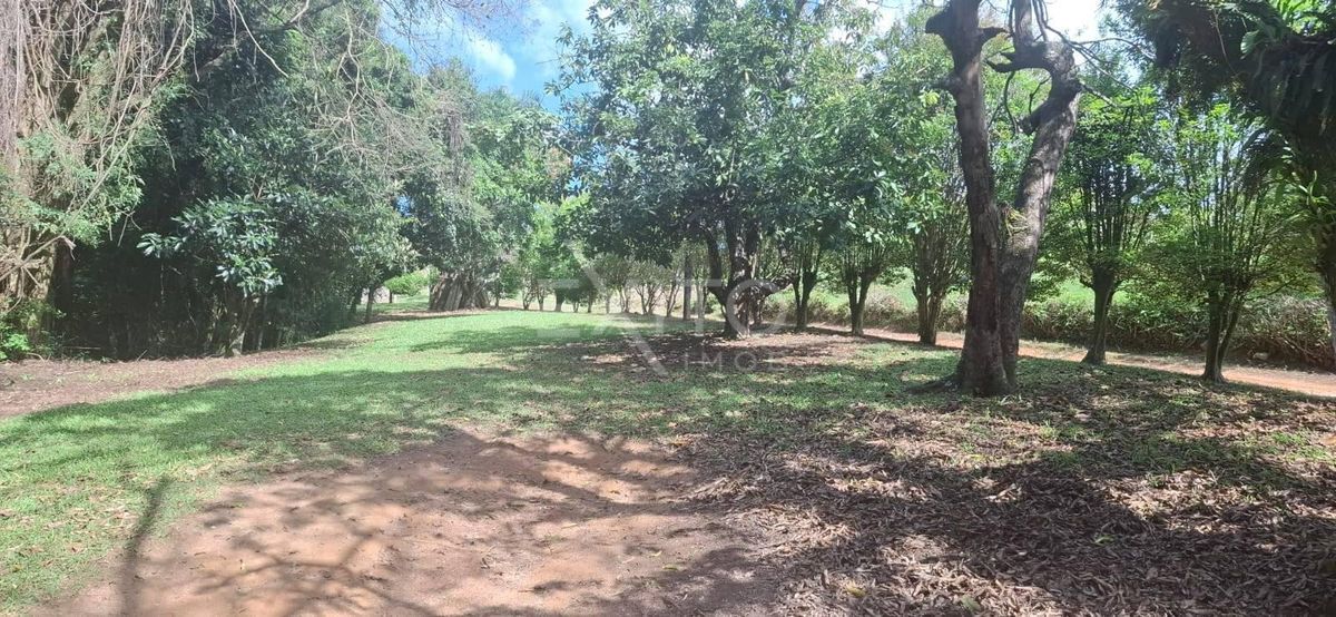 Sítio, 3 quartos, 2 hectares - Foto 13