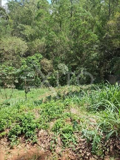 Terreno, 1174 m² - Foto 6