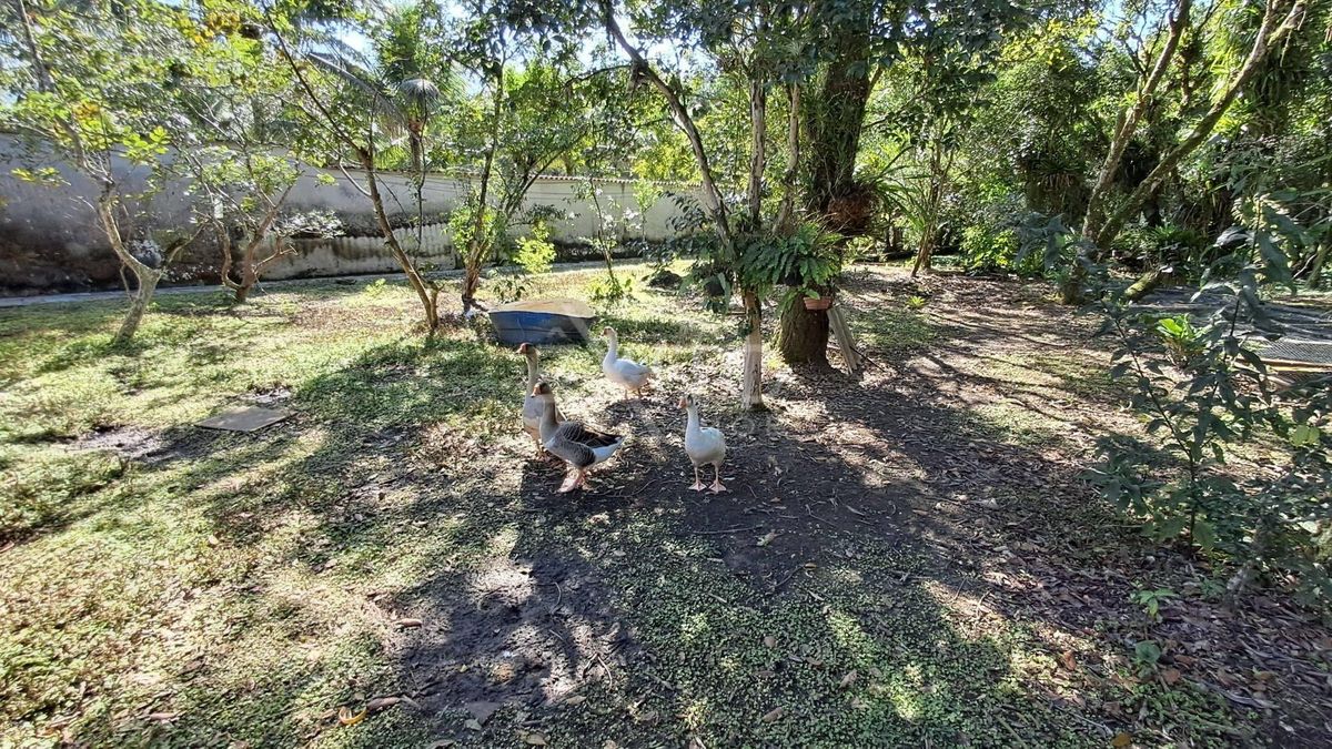Sítio, 6 quartos, 1960 m² - Foto 3
