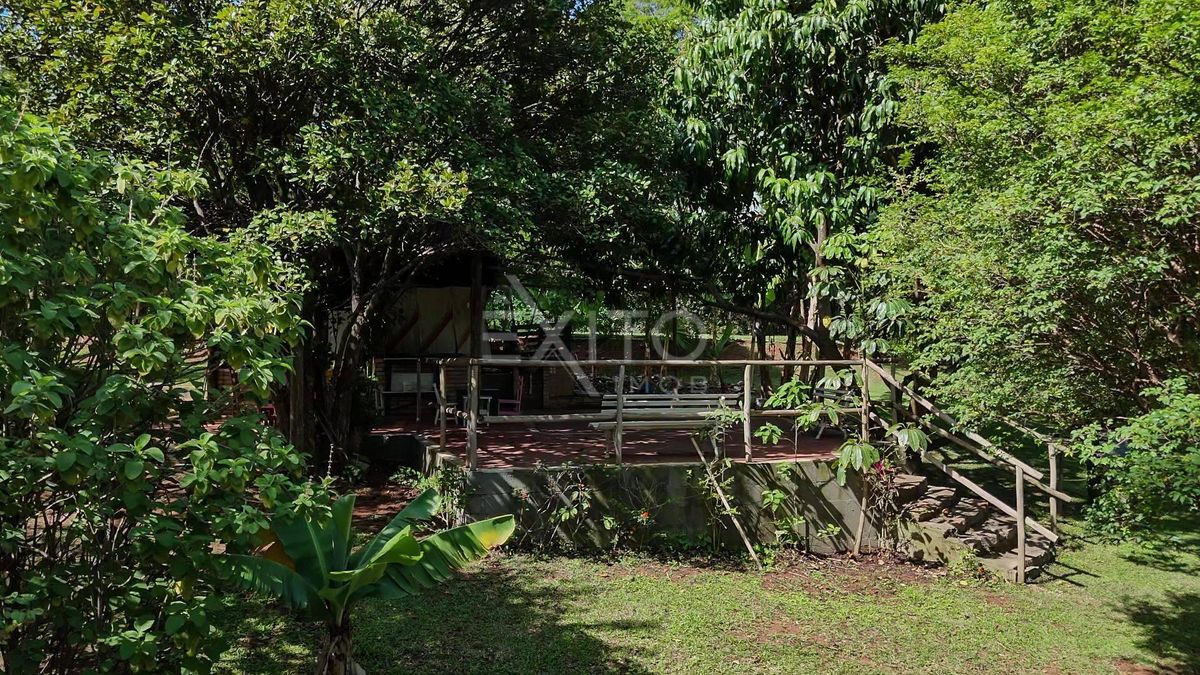 Sítio, 4 quartos, 5000 m² - Foto 21