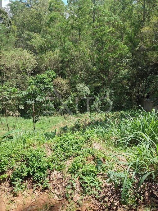 Terreno, 1174 m² - Foto 20