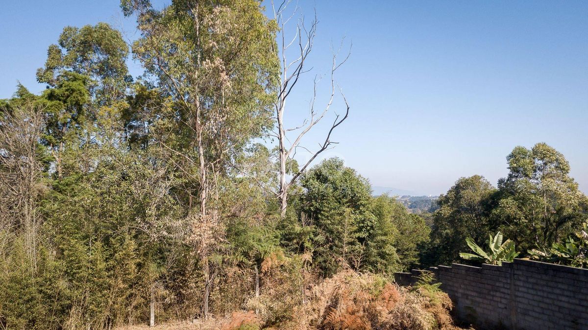 Terreno, 2839 m² - Foto 15