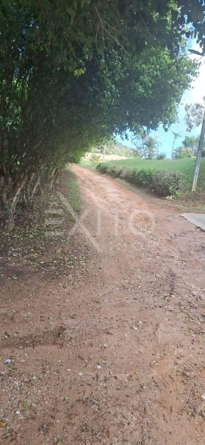 Sítio, 3 quartos, 2 hectares - Foto 19