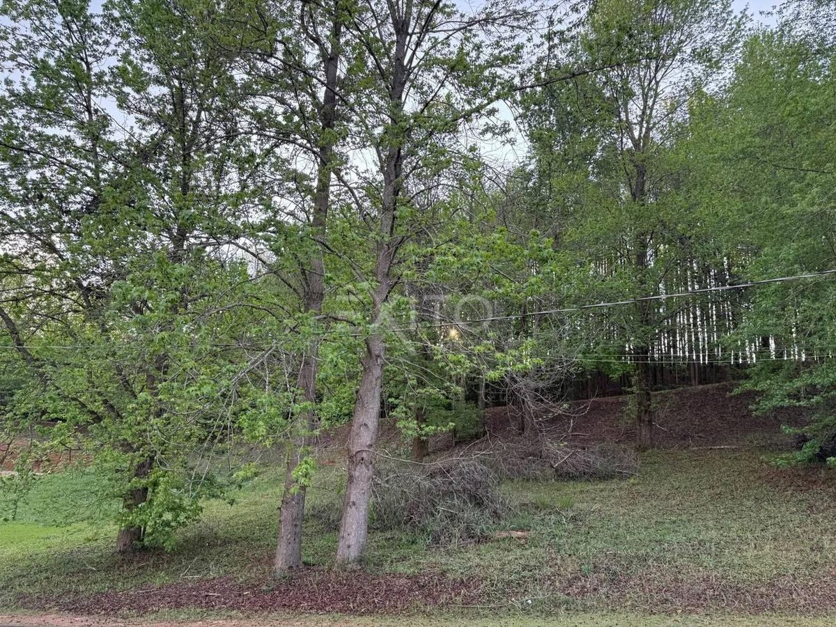 Terreno, 1000 m² - Foto 3