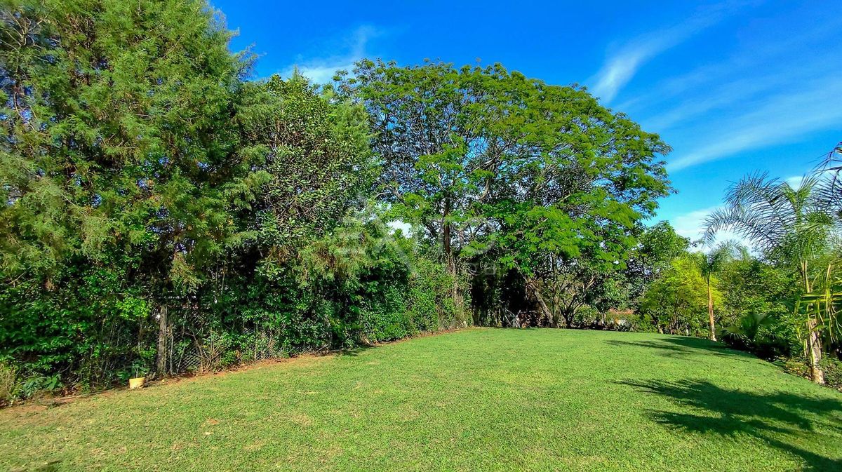 Sítio, 4 quartos, 5000 m² - Foto 24