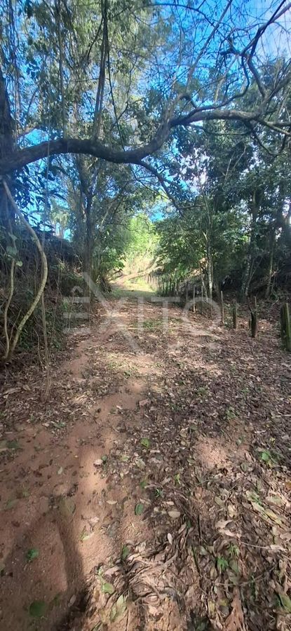Sítio, 3 quartos, 2 hectares - Foto 12