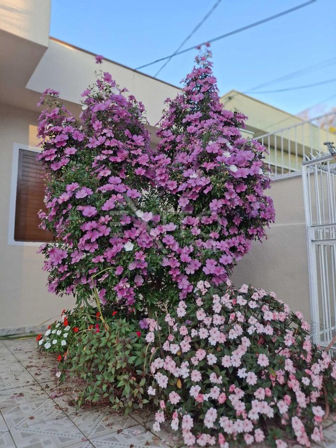 Casa, 3 quartos, 302 m² - Foto 43