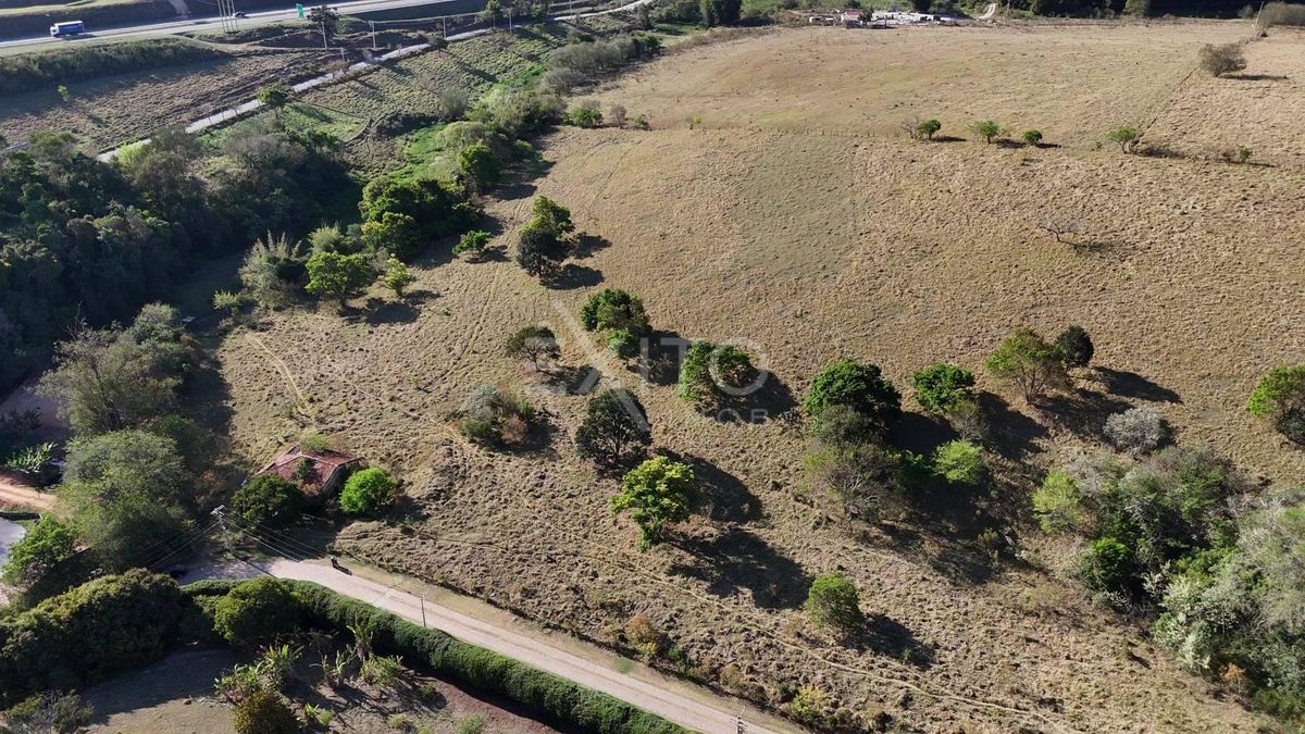 Terreno, 2 hectares - Foto 4