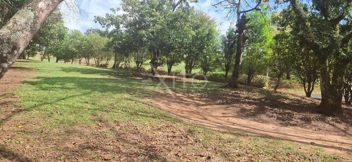 Sítio, 3 quartos, 2 hectares - Foto 17