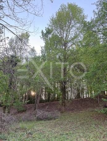 Terreno, 1000 m² - Foto 7