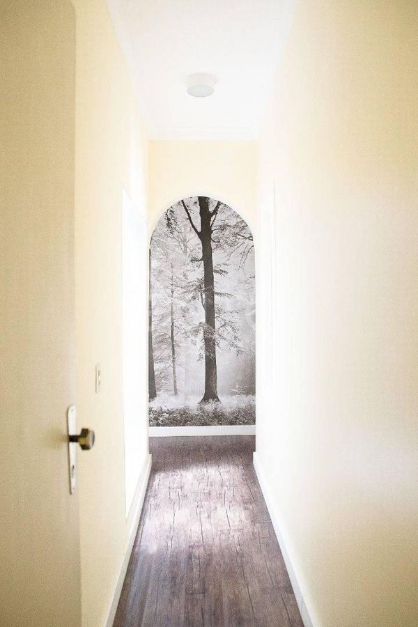 Sítio, 4 quartos, 5500 m² - Foto 23