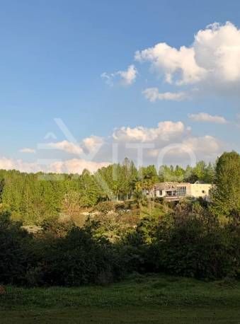 Terreno, 1000 m² - Foto 6