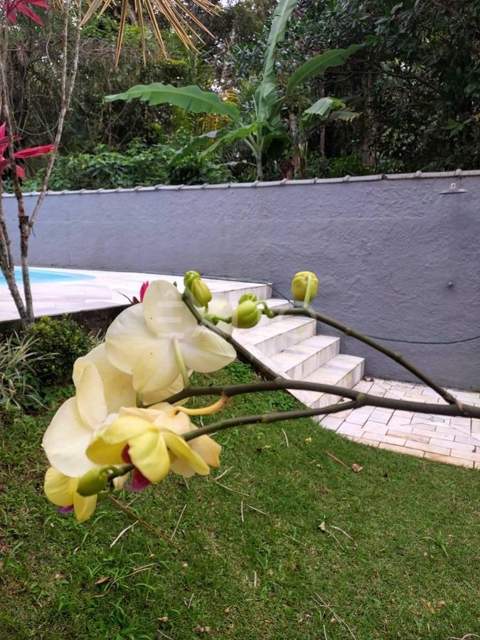 Casa, 5 quartos, 265 m² - Foto 22