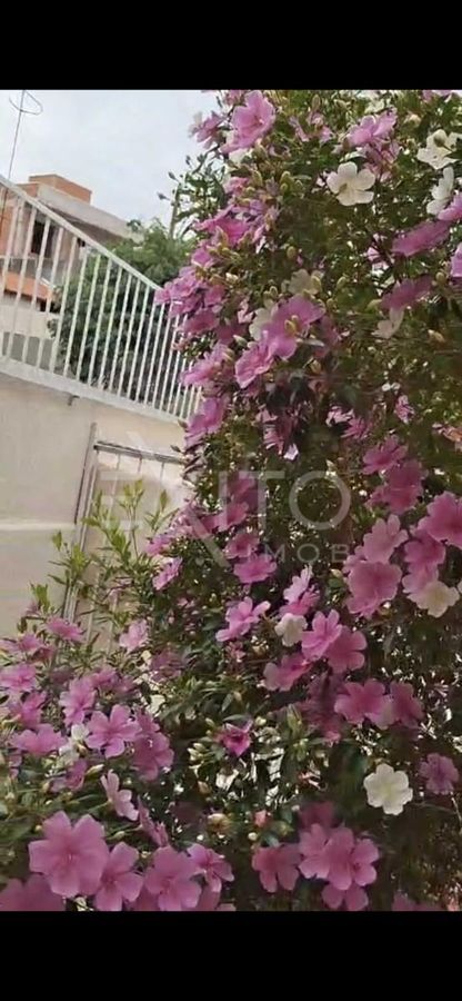 Casa, 3 quartos, 302 m² - Foto 41