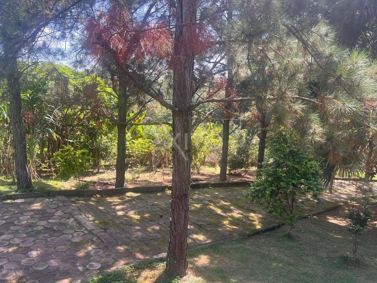Sítio, 2 quartos, 5000 m² - Foto 5