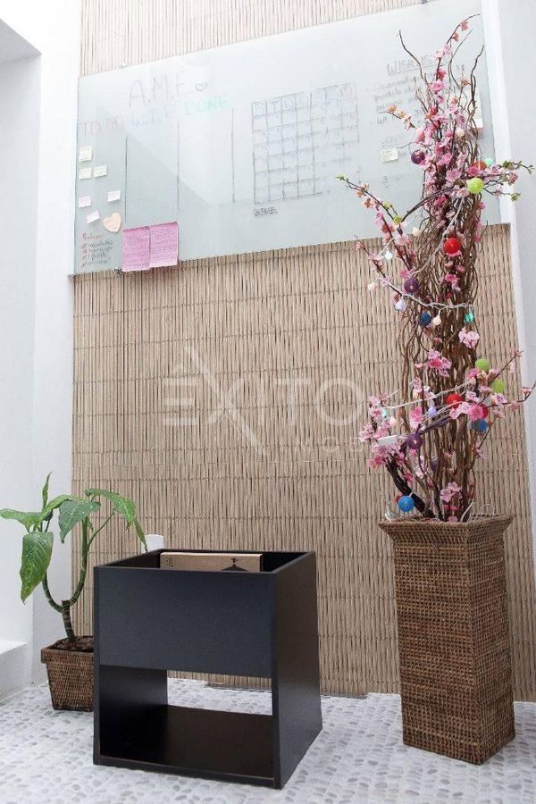 Sítio, 4 quartos, 5500 m² - Foto 7