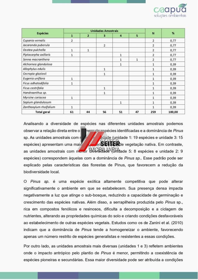 Terreno estratégico 27.886 m² em Santo Antônio de Lisboa, estudo técnico e potencial de regularização
