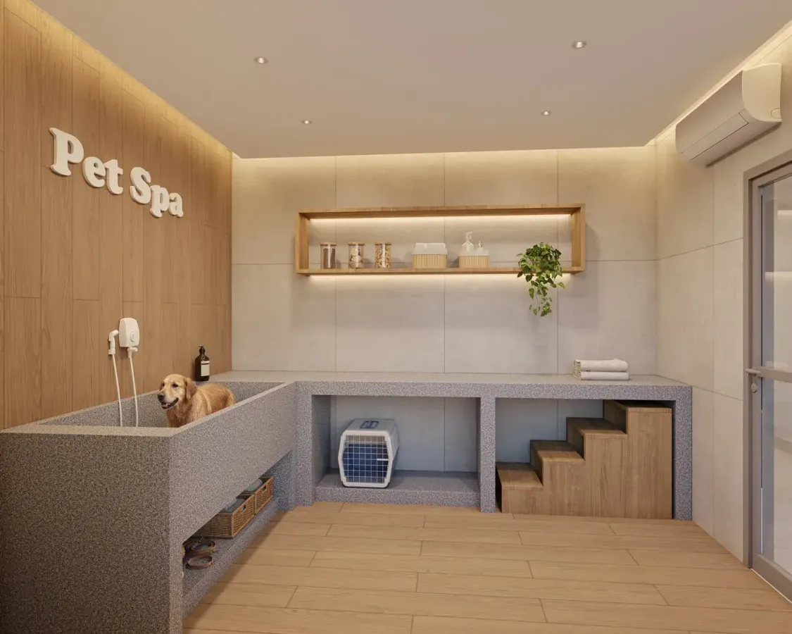 Autoria mac construtora mac construção 60 metros 02 dormitór
