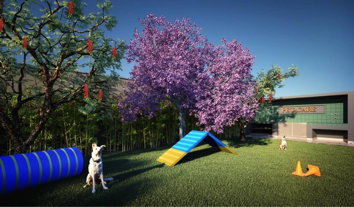 Mundo apto alto do ipiranga construção 25 metros 01 dormitór