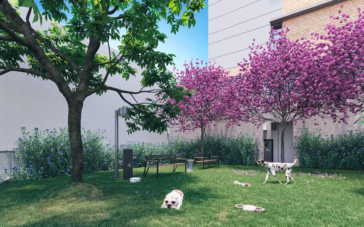 Casa raízes by ditolvo construtora ditolvo construção 222 me