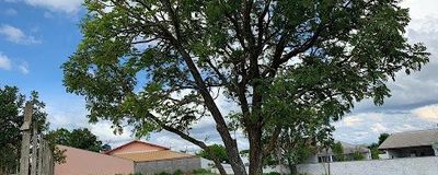 Terreno, O Estribo - Avaré. Foto 3