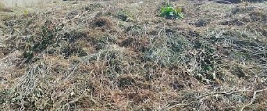 Terreno, Vila Jussara Maria - Avaré. Foto 3