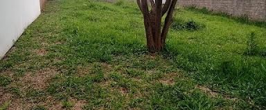 Terreno, Jardim das Orquídeas - Avaré. Foto 3