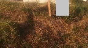 Terreno, Loteamento Terras de São José - Avaré. Foto 3