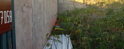 Terreno em Vila Operária - Avaré. Foto 3