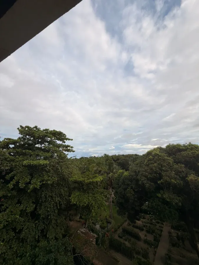 Vista da área verde