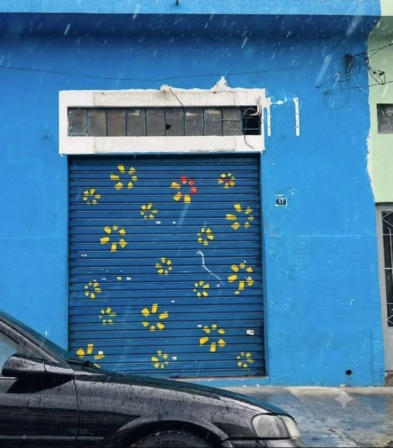 Loja-Salão, 48 m² - Foto 2