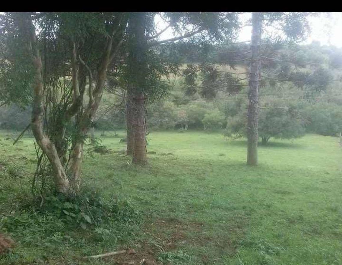 Chácara à Venda - Ijuí - Chácara em Ijuí - à venda - IMOBILIÁRIA SOLUÇÃO IMÓVEIS IJUÍ