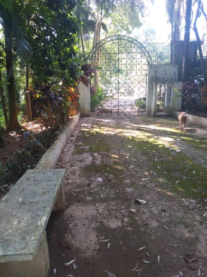 Sítio, 5 quartos, 1 hectares - Foto 23