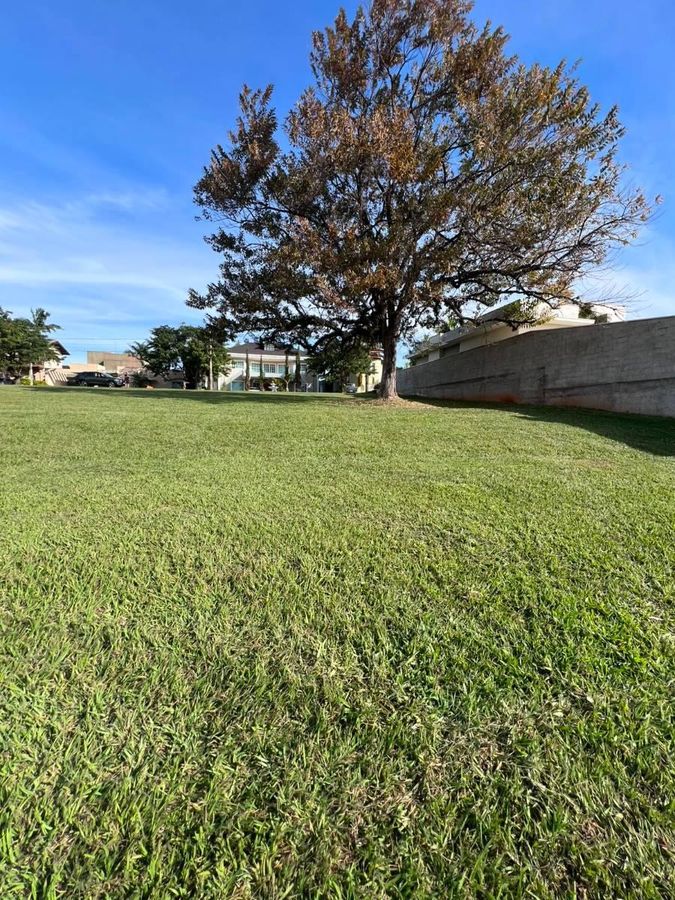 Terreno maravilhoso com excelente topgrafia, foto 4