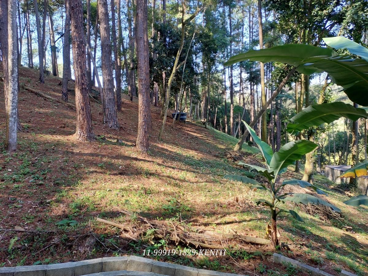 Sítio, 5 quartos, 1 hectares - Foto 13