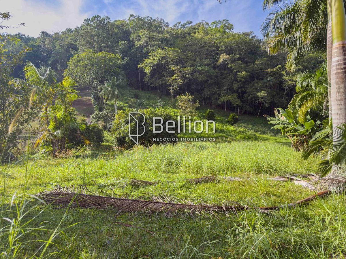 Terreno à Venda em Rodeio 18.000 m² em São Pedro Novo com Alto Potencial de Valorização
