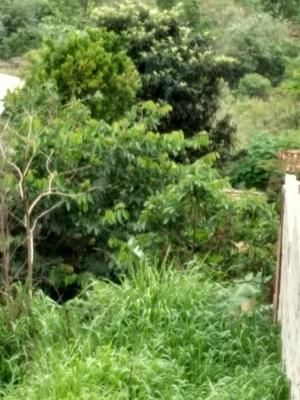 Terreno 750 m² à venda no Recanto Maravilha III - Santana de Parnaíba - 12
