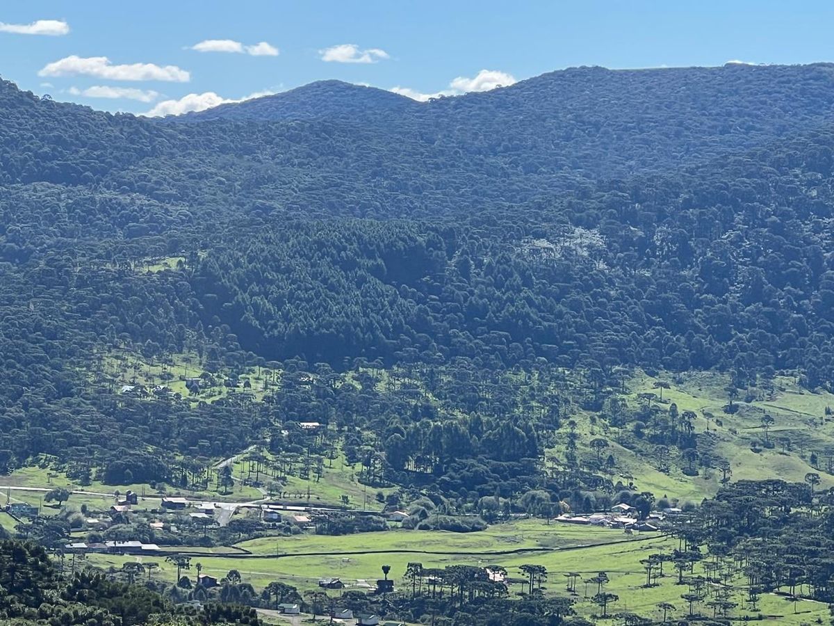 Terrenos de dois hectares - Terreno em Vacas Gordas, Urubici - à venda - ZEH IMOVEIS LTDA