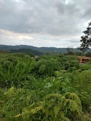 Terreno 750 m² à venda no Recanto Maravilha III - Santana de Parnaíba - 10