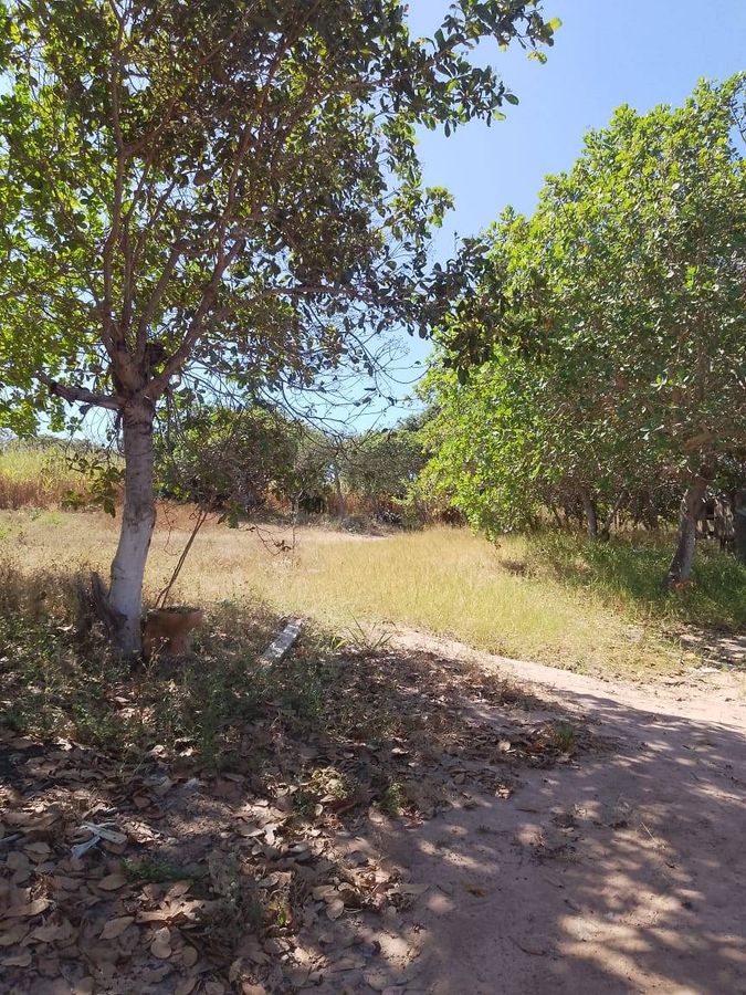 Fazenda de 11 Alqueires para Pecuária - Fazenda em Bandeirantes (Nova Crixás) - à venda - Rural Urbano Imóveis